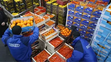 Yaş Sebze Meyve İhracatı Durma Noktasına Geldi