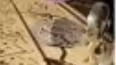 Araştırmacılarla Başbaşa Kitabı Çıktı