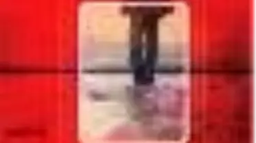 Böyle Bitmez Ama Git… Kitabı