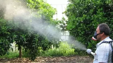 Boztepe'de Çiftçilere İlaçlama Desteği