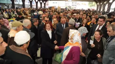 Özlem Çerçioğlu, Çinelilerle Buluştu