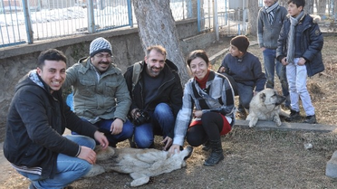 Gazeteciler Donmaktan Kurtardıkları Köpekleri Ziyaret Etti