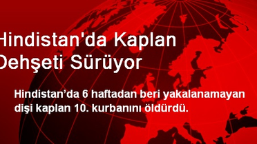 Hindistan'da Kaplan Dehşeti Sürüyor