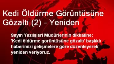 Kedi Öldürme Görüntüsüne Gözaltı (2) - Yeniden