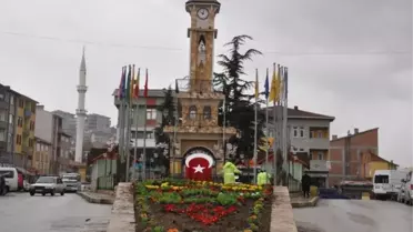 Eskipazar'da Kış Çiçekleri Açtı