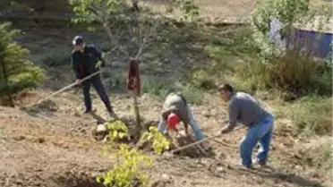 Hilvan'da Ağaçlandırma Çalışmaları Sürüyor