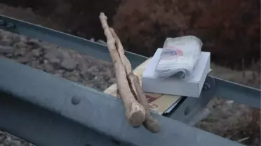 Köpeklerin Kavgası Baba ile Oğlunun Sonu Oldu