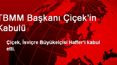 TBMM Başkanı Çiçek'in Kabulü