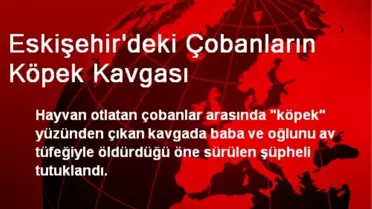 Eskişehir'deki Çobanların Köpek Kavgası