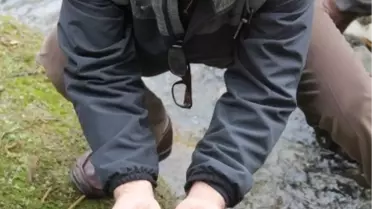 Hes Firması Dereye Balık Yavrusu Bıraktı