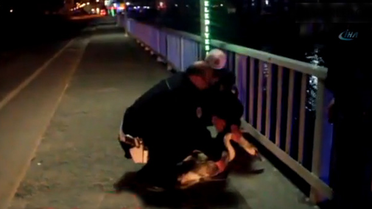 Yorgun Düşen Kuğu Zorunlu İniş Yaptı