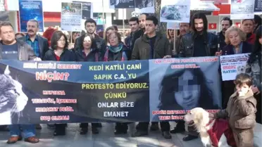 Kediyi Öldüren Genç Yargılansın Talebi