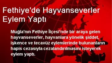 Fethiye'de Hayvanseverler Eylem Yaptı
