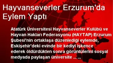 Hayvanseverler Erzurum'da Eylem Yaptı
