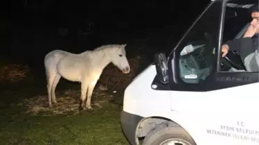 Yaralı Ata, Aydın Belediye Başkanı Çerçioğlu Sahip Çıktı
