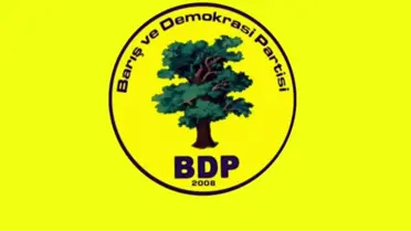 Aday Gösterilmeyen BDP'li Kadın Kendini Ateşe Verdi