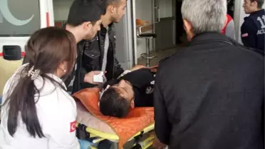 Gaziantep'te Kuş Kavgası Hastanede Bitti