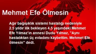 Mehmet Efe Ölmesin