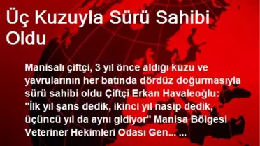 Manisa'da Üç Kuzuyla Sürü Sahibi Oldu