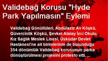 Validebağ Korusu 'Hyde Park Yapılmasın' Eylemi