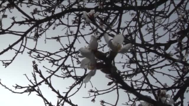 Sıcak havanın tadını çıkardılar -