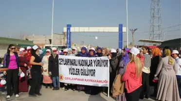 Ceylanpınar'lı Kadınlar Obeziteye Savaş Açtı
