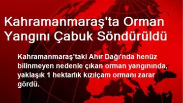 Kahramanmaraş'ta Orman Yangını Çabuk Söndürüldü