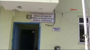 Liselilerin Hayvan Barınağı Ziyaretinde Gerginlik