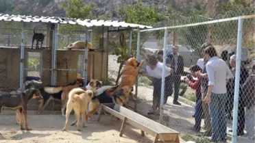 Öğrencilerin Barınak Ziyaretinde Gerginlik