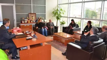 Söke'de Vergi Haftası Kutlamaları