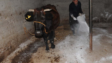 Osmaniye'de 9 Köy Karantinaya Alındı