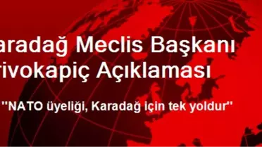 Karadağ Meclis Başkanı Krivokapiç Açıklaması