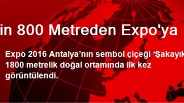 Bin 800 Metreden EXPO'ya