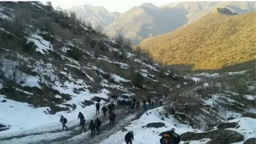 Uludere'de Biber Gazlı Müdahale