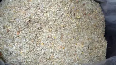 Göztepe'de Lüks Otomobilde 10 Kilo Bonzai Ele Geçirildi