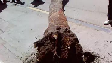 Kadıköy'de Dev Ağaç Cadde Ortasına Devrildi