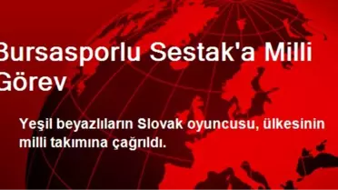 Bursasporlu Sestak'a Milli Görev