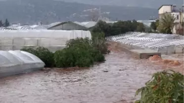 Demre'de Evler ve Seralar Sel Sularının Altında Kaldı