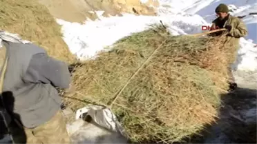 Başkale'de Çiftçilerin Kış Çilesi Bitmedi