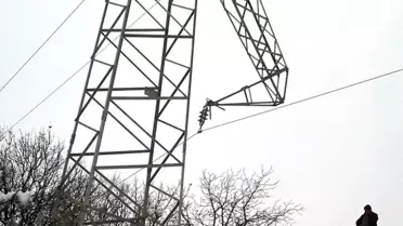 DEDAŞ Ekiplerinin Doğaya Karşı Amansız Mücadelesi