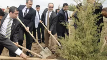 Dicle'de Ağaç Dikimleri Devam Ediyor