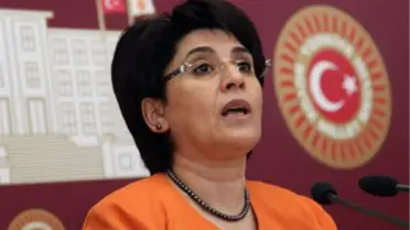 Leyla Zana: Berkin'in Failleri Bulunmalı