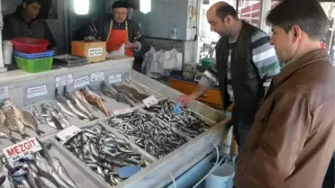 Balık Fiyatları Tekirdağ'da El Yakıyor