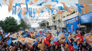 Bakanı Çelik, Ceylanpınar ilçesinde -