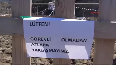 Kızının At Sevgisi Çiftlik Kurdurdu