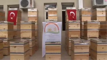 Organik bal üretimine başlandı -