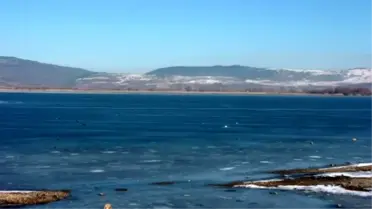 Bolu'da Av Yasağı Başladı