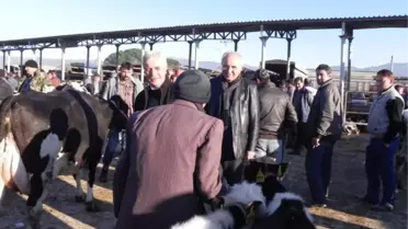 Başkan Keskin Hayvan Pazarı'ndaki Sıkıntıya Elkoydu