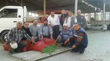 Ödemiş'te Sezonun İlk Bezelye ve Baklası Pazara İndi