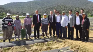 Savaş: 'Bu İş Tamamdır Artık Gümbür Gümbür Geliyoruz'